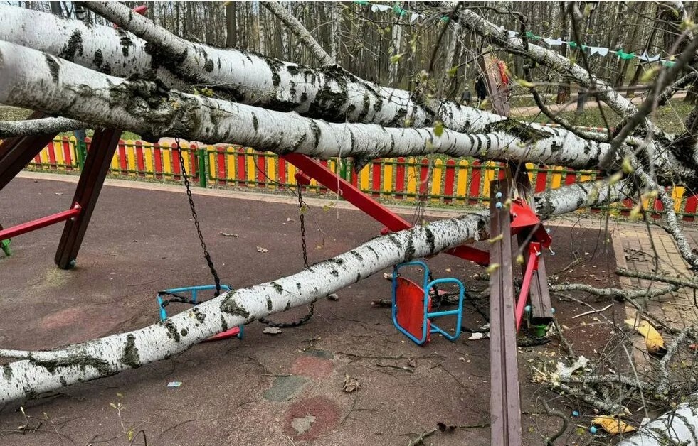 Фото с места трагедии на детской площадке в Красногорске.
