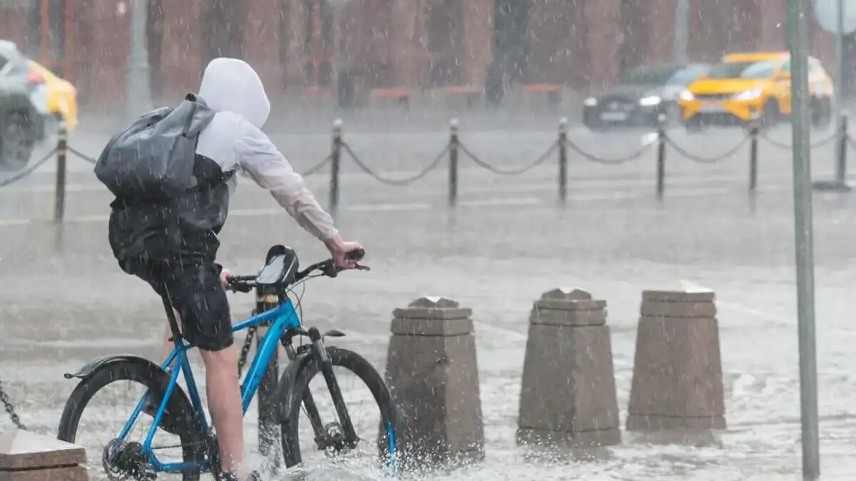    Погода в Москве.