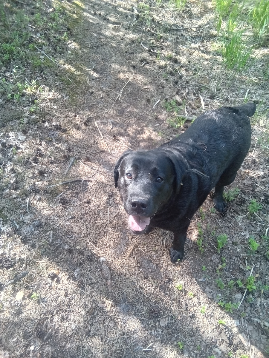 Фото автора. 