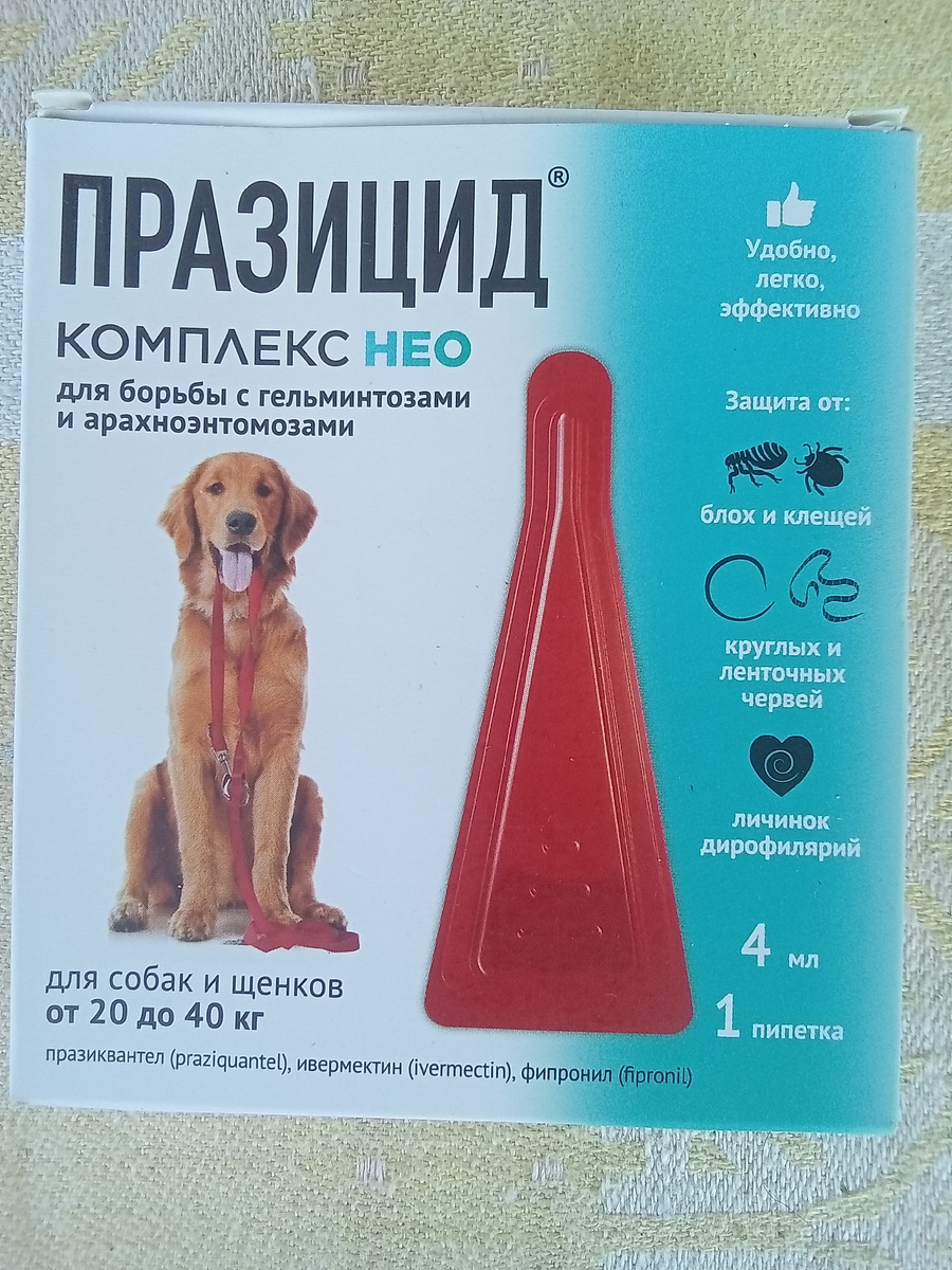 Фото автора. 