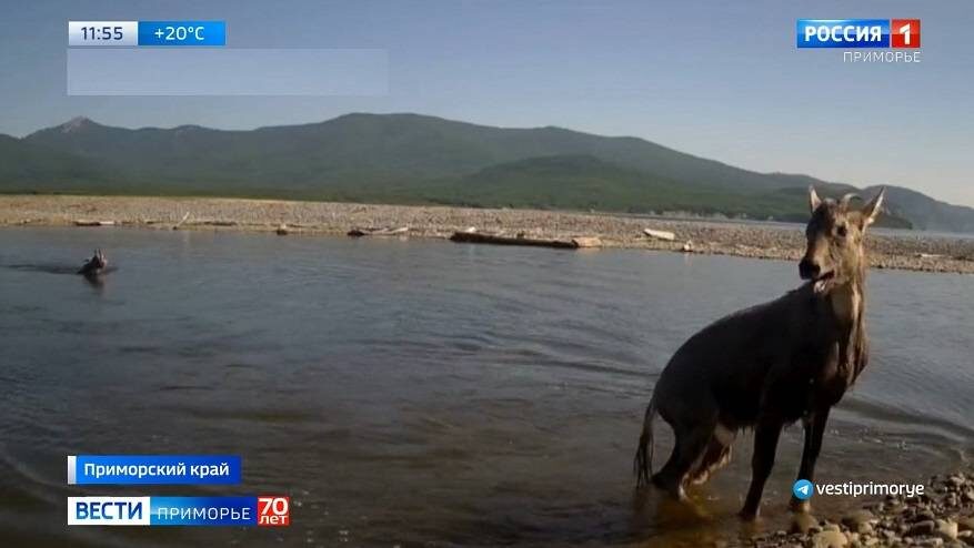    Источник фото: