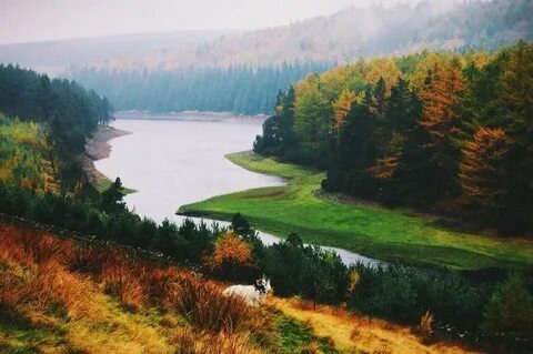 Россия – это страна, которая поражает своим масштабом и разнообразием природных ландшафтов. От арктических пустынь на севере до субтропических пляжей на юге, от бескрайних равнин до величественных гор, природа России предлагает бесчисленные возможности для восхищения и исследования. Ее красота вдохновляет художников, поэтов и путешественников на протяжении многих веков.