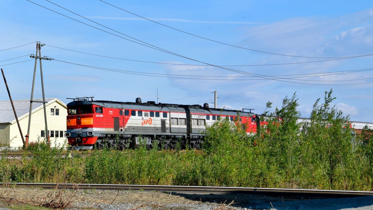    Фото: Андрей Ткачёв / «Ямал-Медиа»