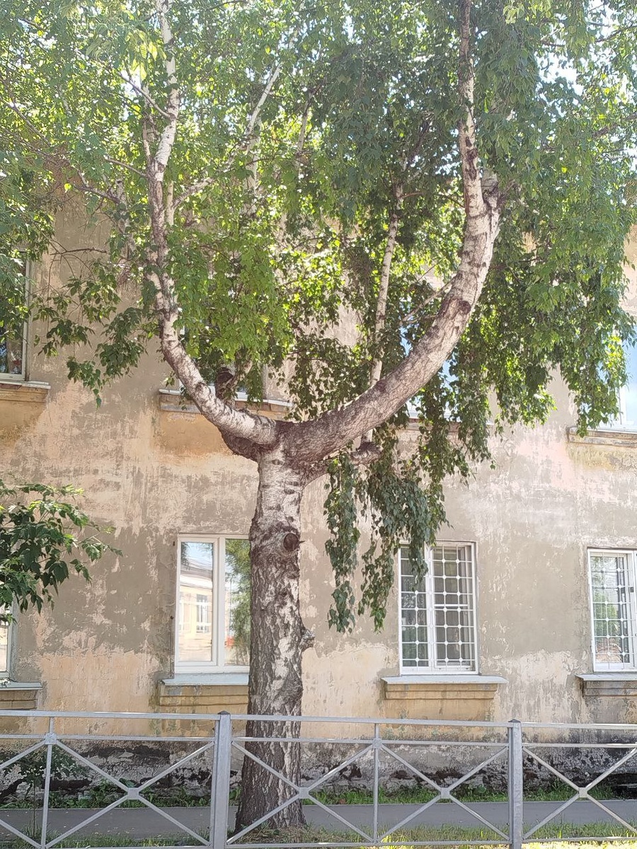 Добавлю фото, для наглядности