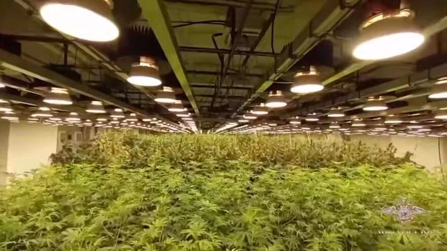    Кадр видео t.me/mediamvd/40538