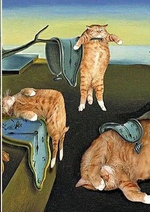 Картинка из свободного доступа 