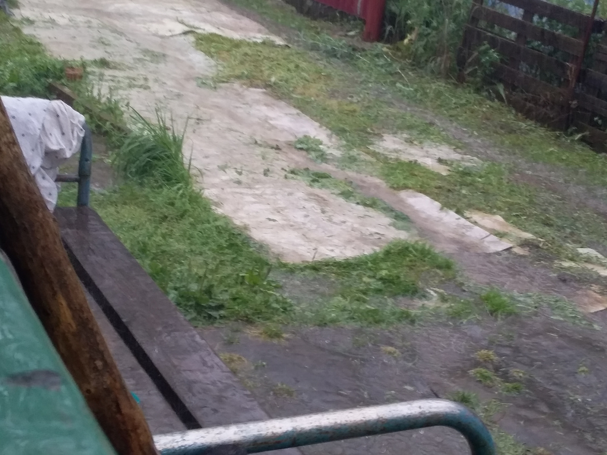 Фото автора.