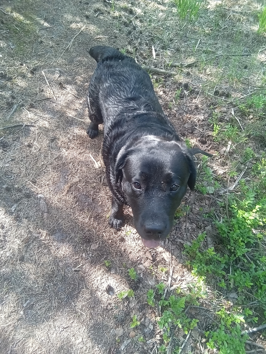 Фото автора. 