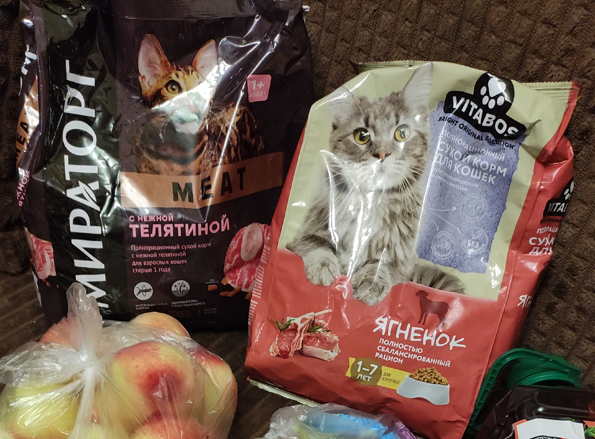 Корм для котов