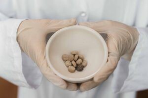    Фото: Томский политехнический университет