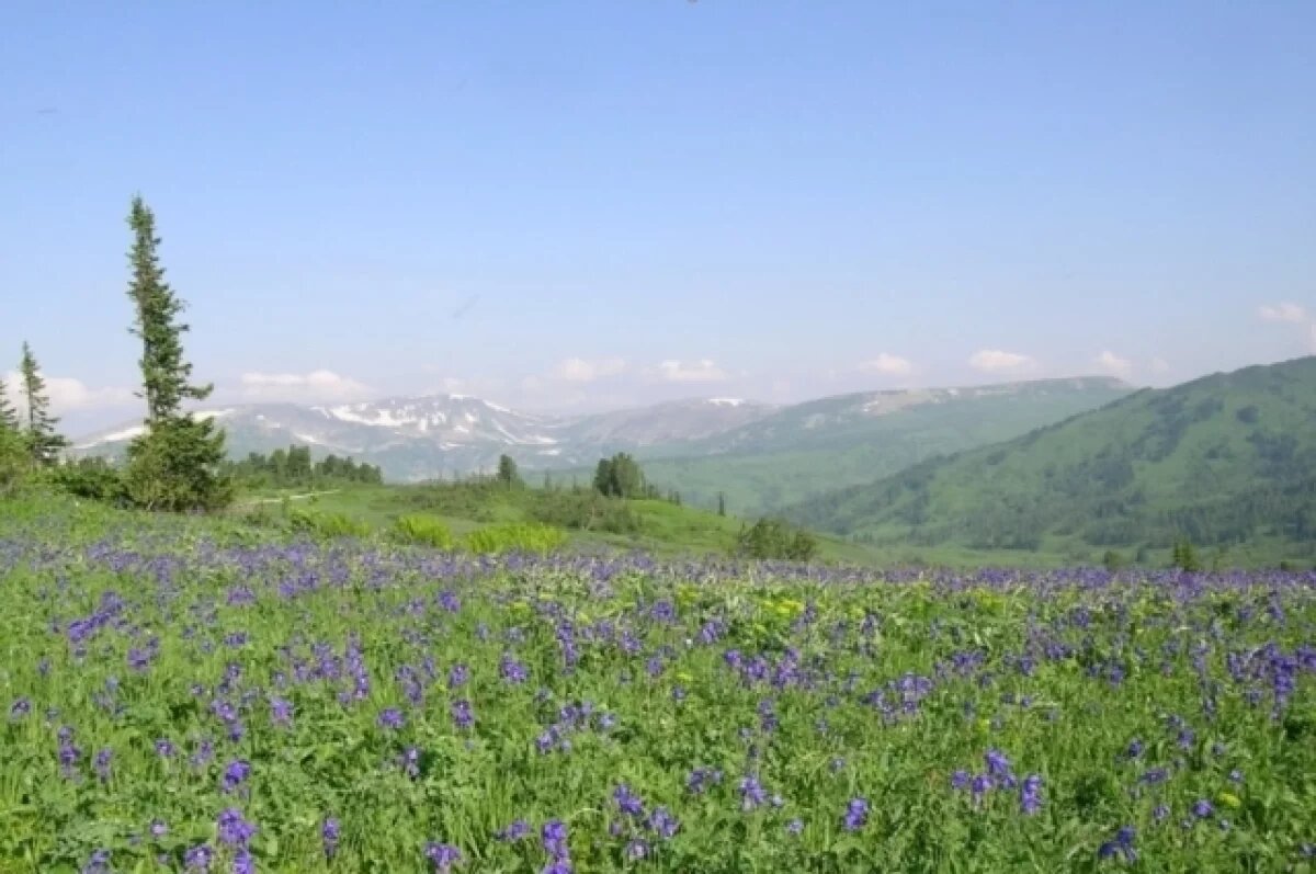    Поднебесные Зубья имеют федеральный статус объектов туристического интереса.