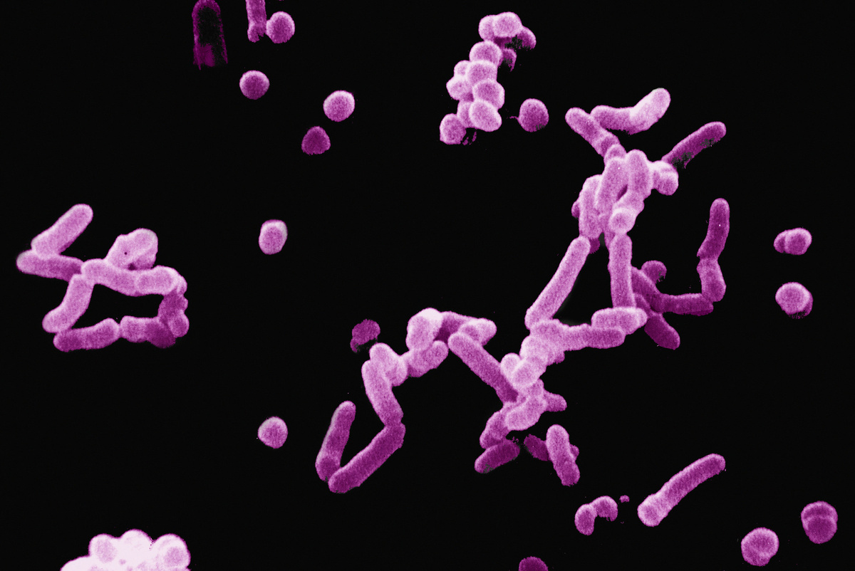     / Gettyimages.ru / Connect Images