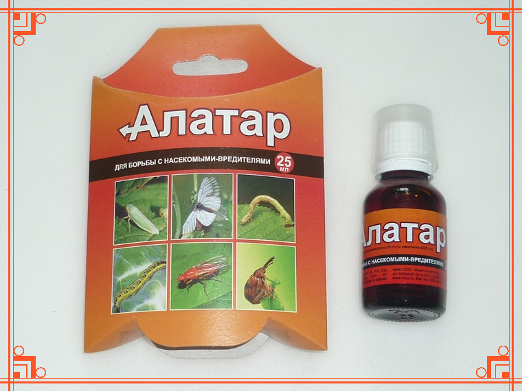 Фото из интернета. Инструкция по применению Алатара