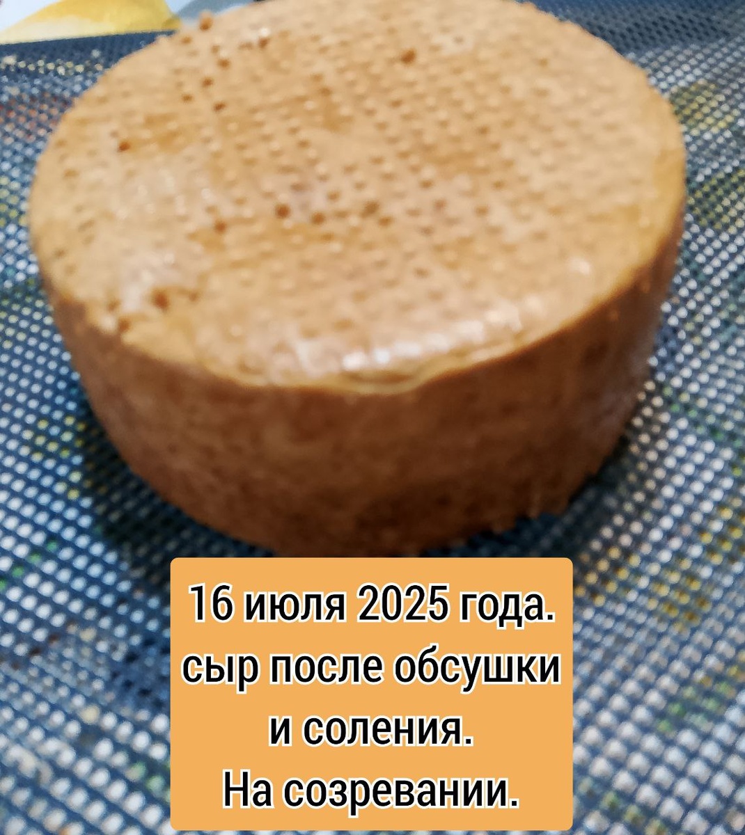 Натуральный и ароматный сыр