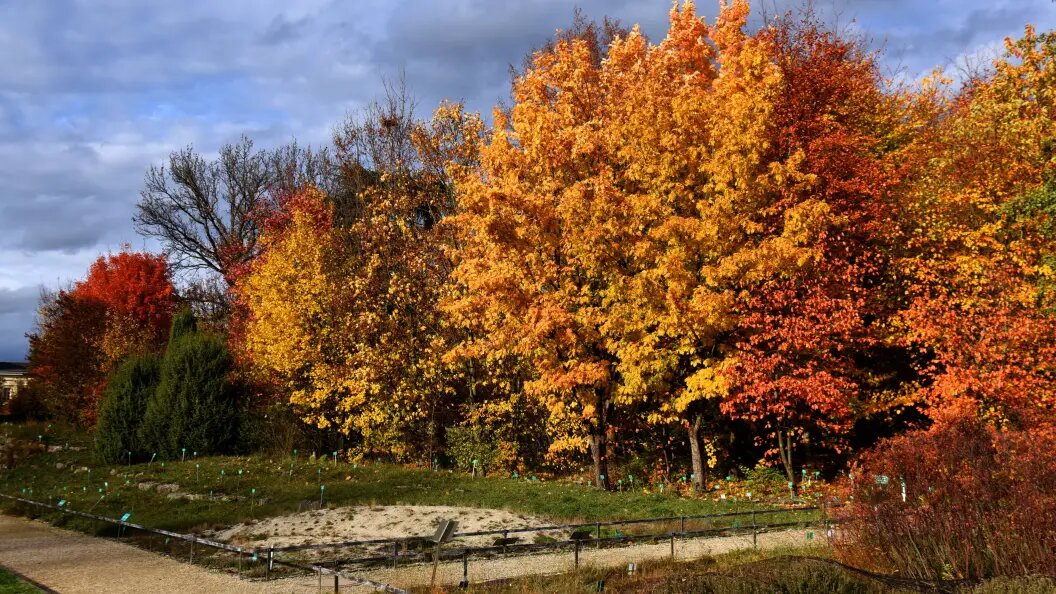    Фото: Sepp Spiegl/Globallookpress