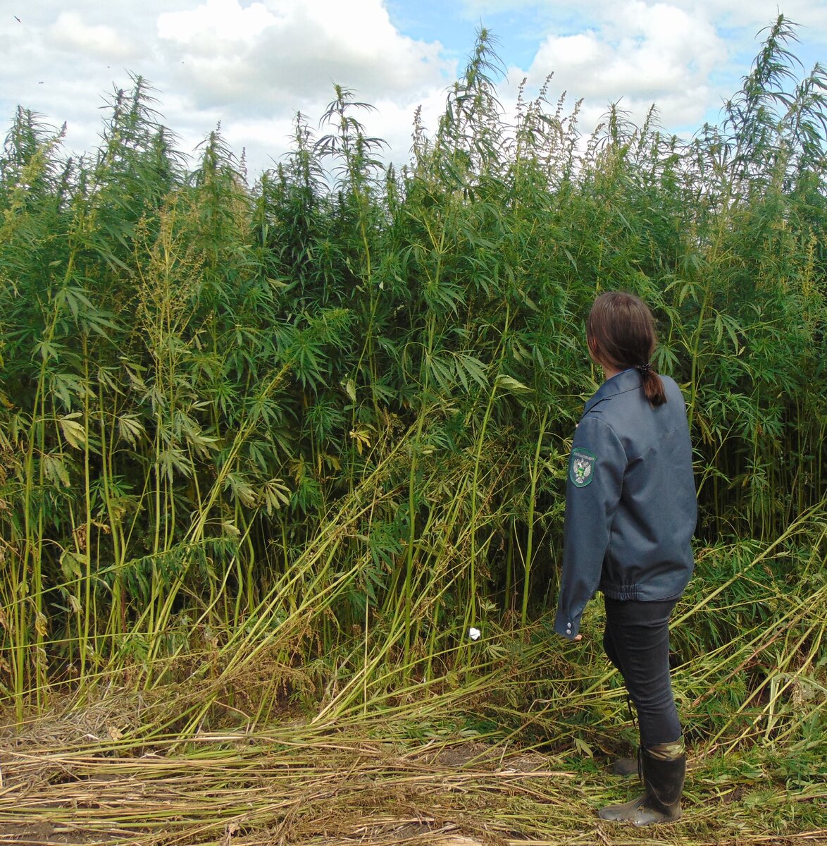    Фото: Россельхознадзор по Красноярскому краю