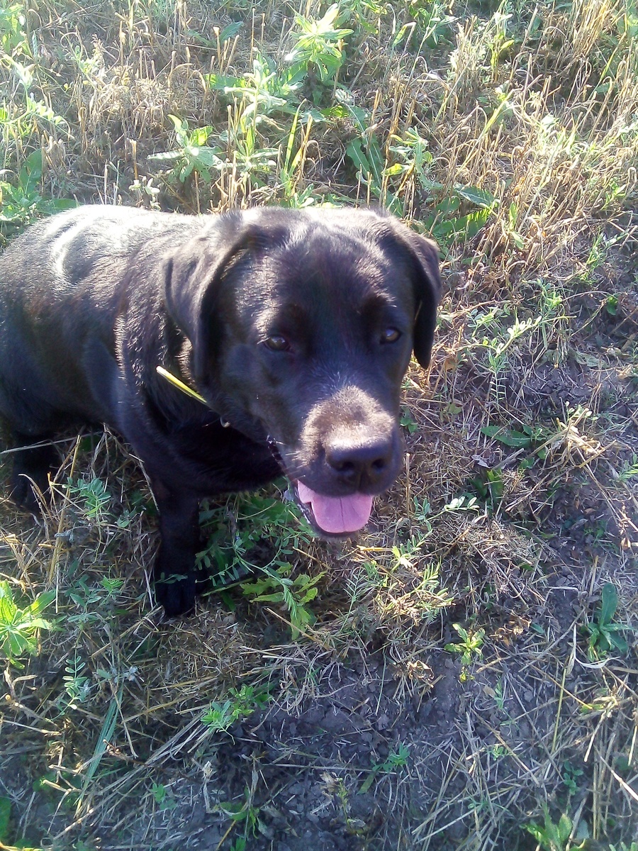 Фото автора. 