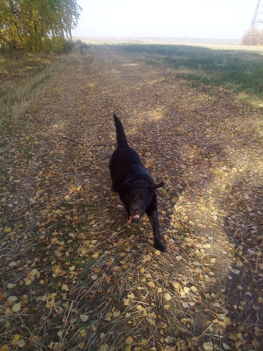 Фото автора. 