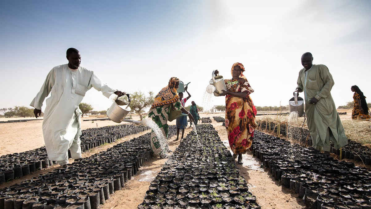 За это время бедная страна смогла сделать невозможное: восстановить 5 миллионов гектаров деградировавших земель. 