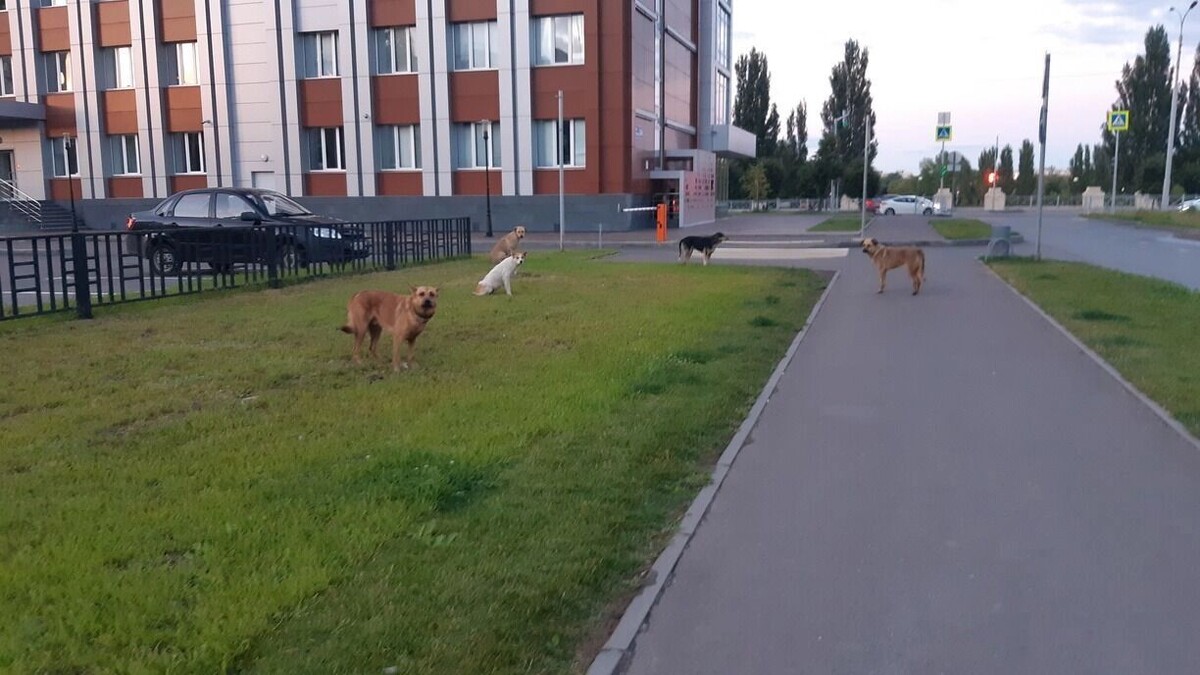     Источник: 1MI