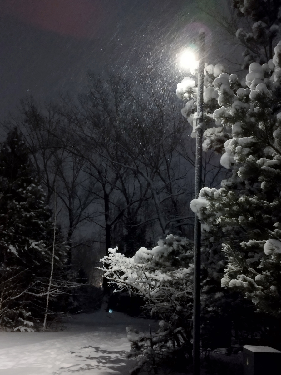 Нарнийский фонарный столб. Фото из личного архива автора