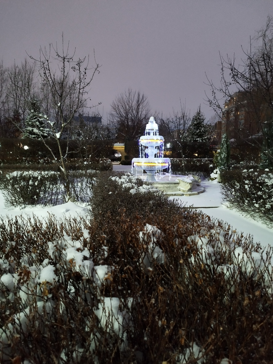 Не Нарния, но атмосфера соответствует, мне кажется. Фото из личного архива автора.