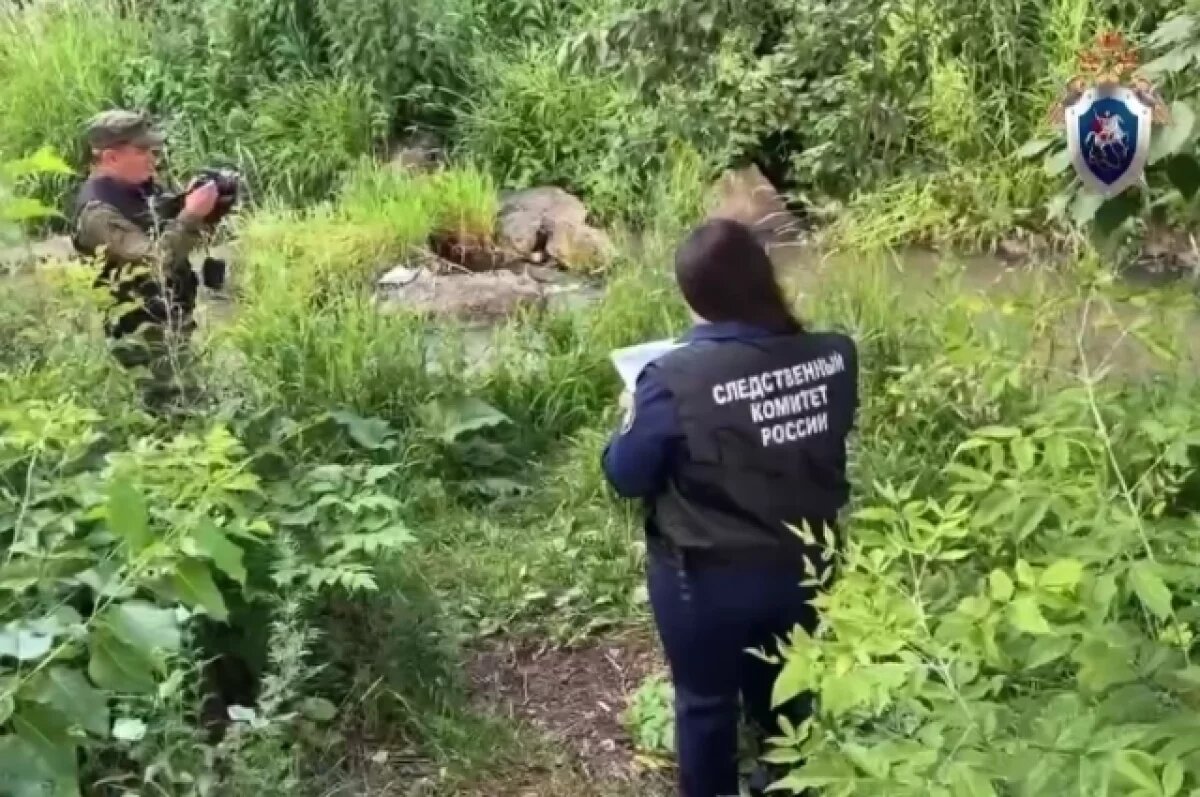    Расчленившего жену красноярца поместили в СИЗО