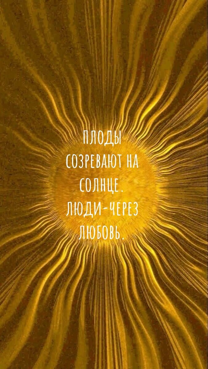 Из открытых интернет источников 