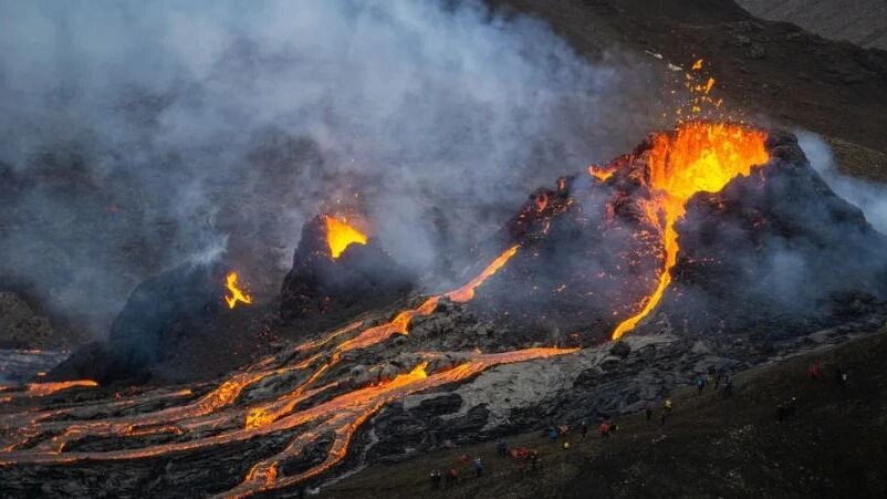    Фото: DanielFreyr/Shutterstock/Fotodom