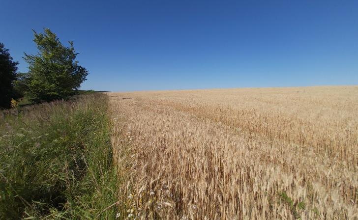    фото Курские известия