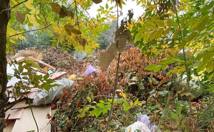    фото Курские известия