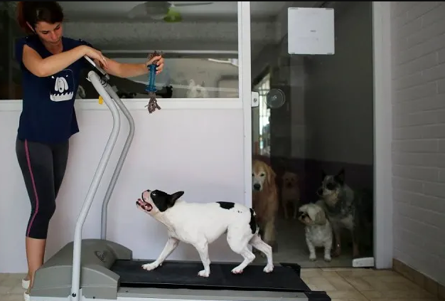    Фото: скриншот из фотоматериалов издания