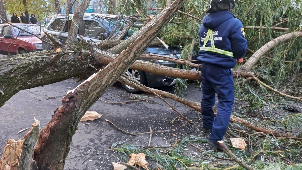     Автор: 57.mchs.gov.ru