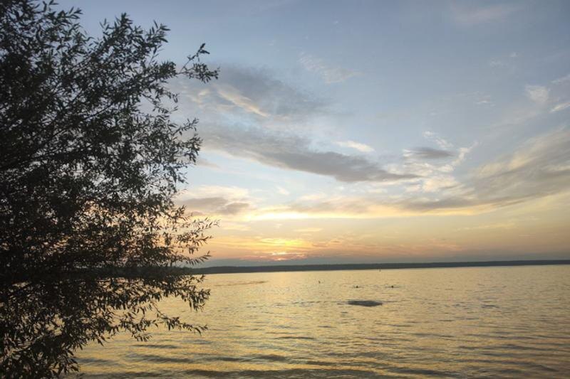    Полина Достовалова