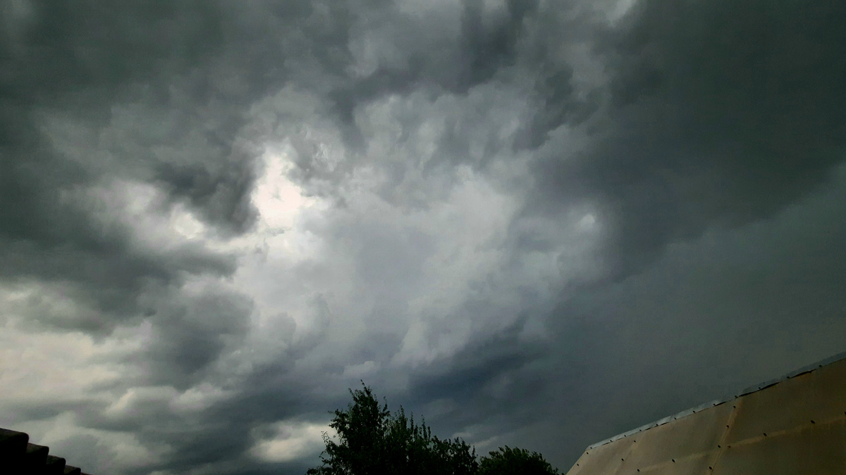 Фото автора.