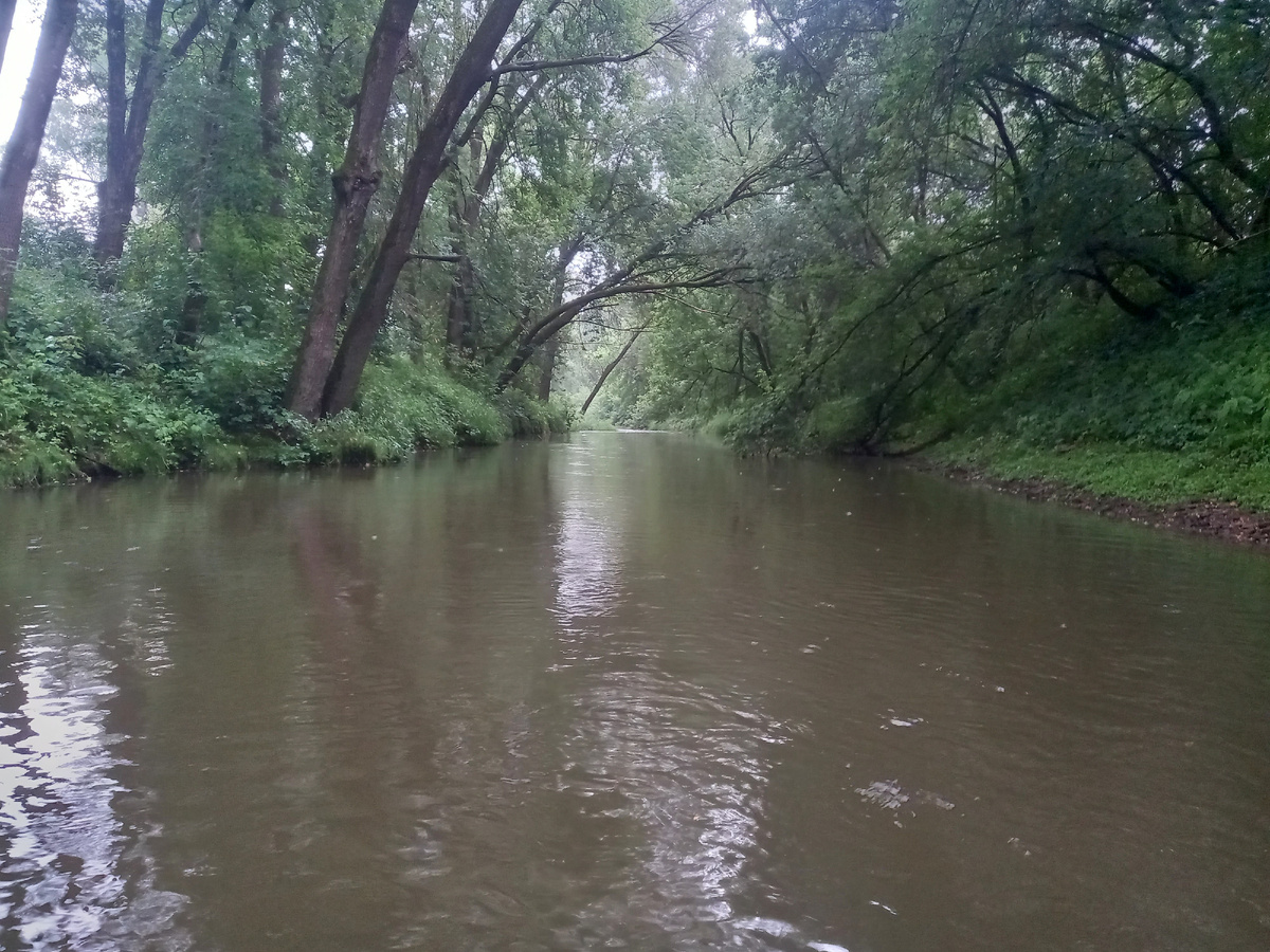 Поехали. Серое пасмурное утро, моросит дождик.