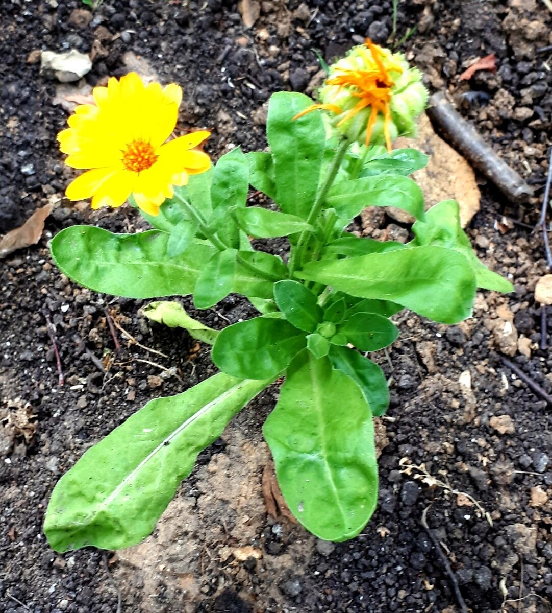 Фото автора статьи 16.07.2025г.