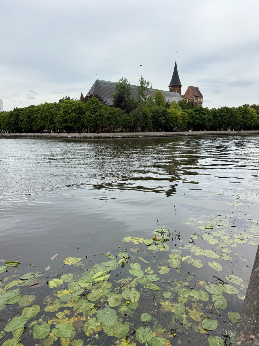 вид на Кафедральный собор