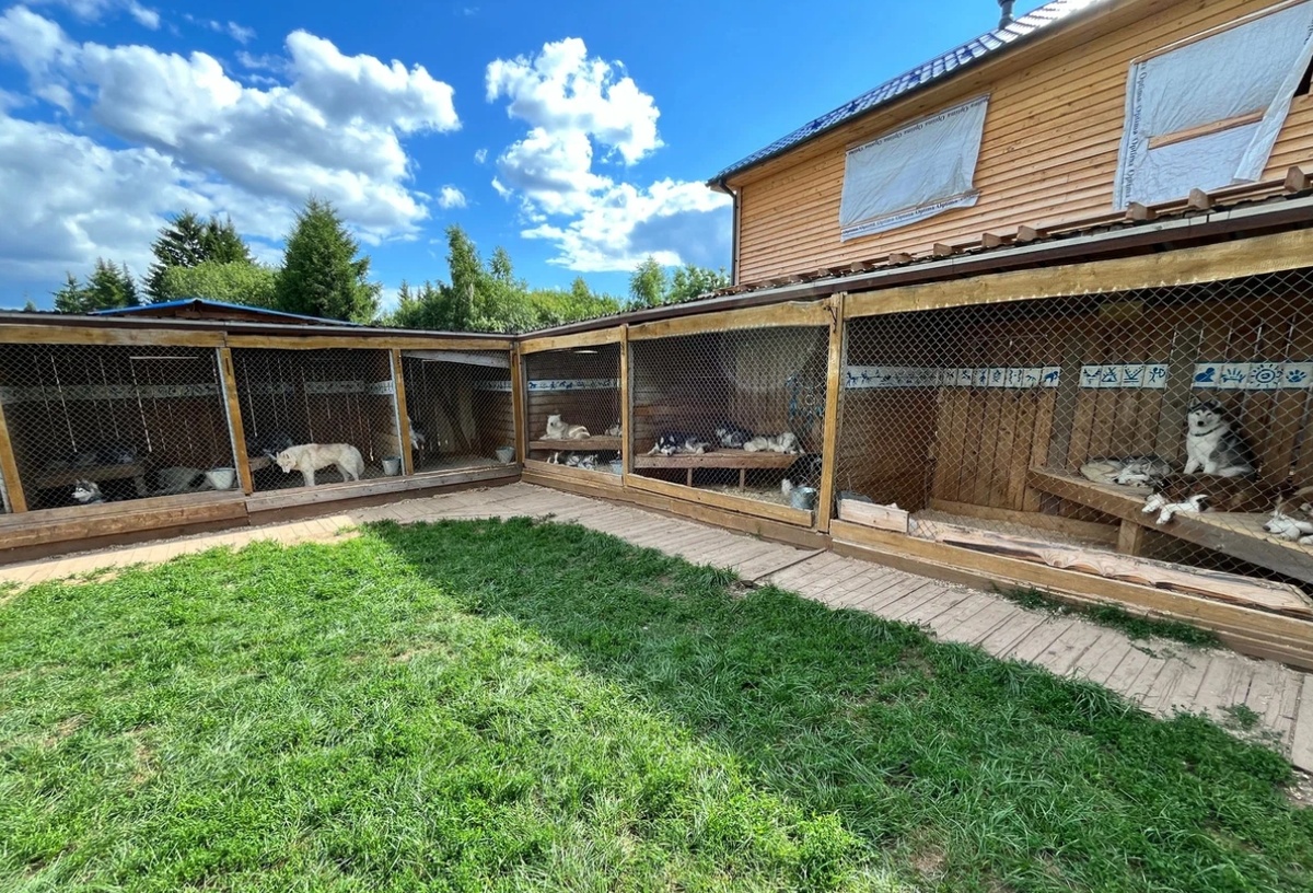 Источник: Яндекс Карты