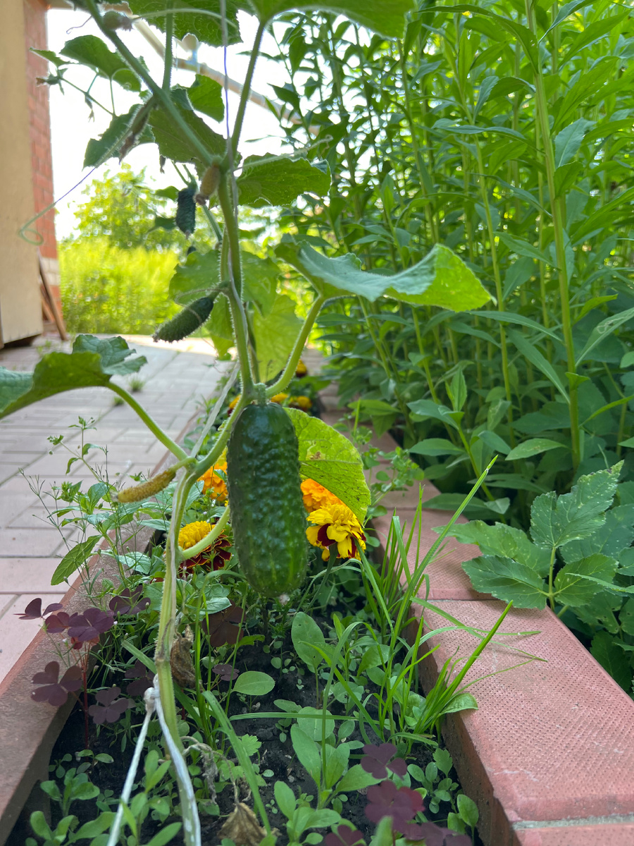 Личное фото. 