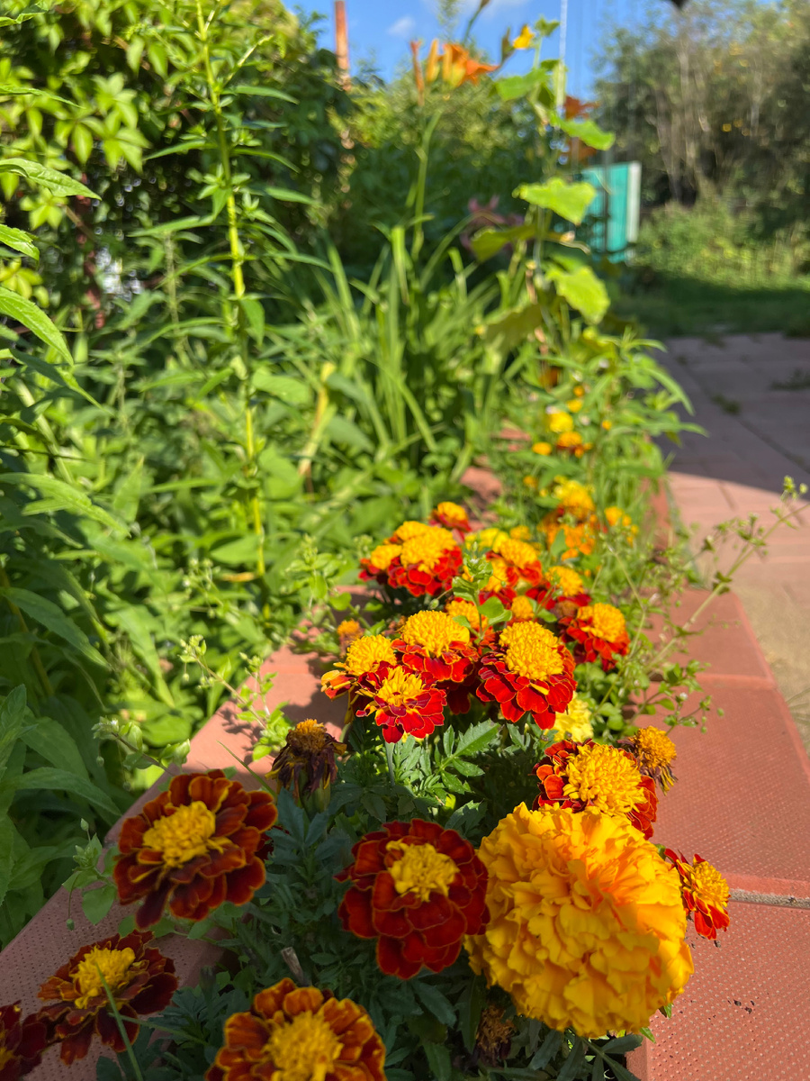 Личное фото. 