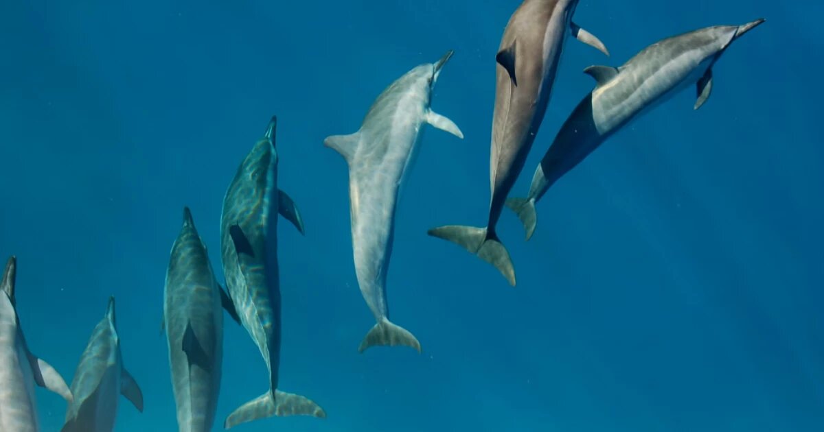 Фото: Yale Cohen / unsplash