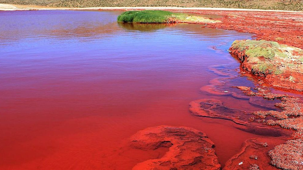    Кровавые реки Земли тайны водоемов окрашенных в красный