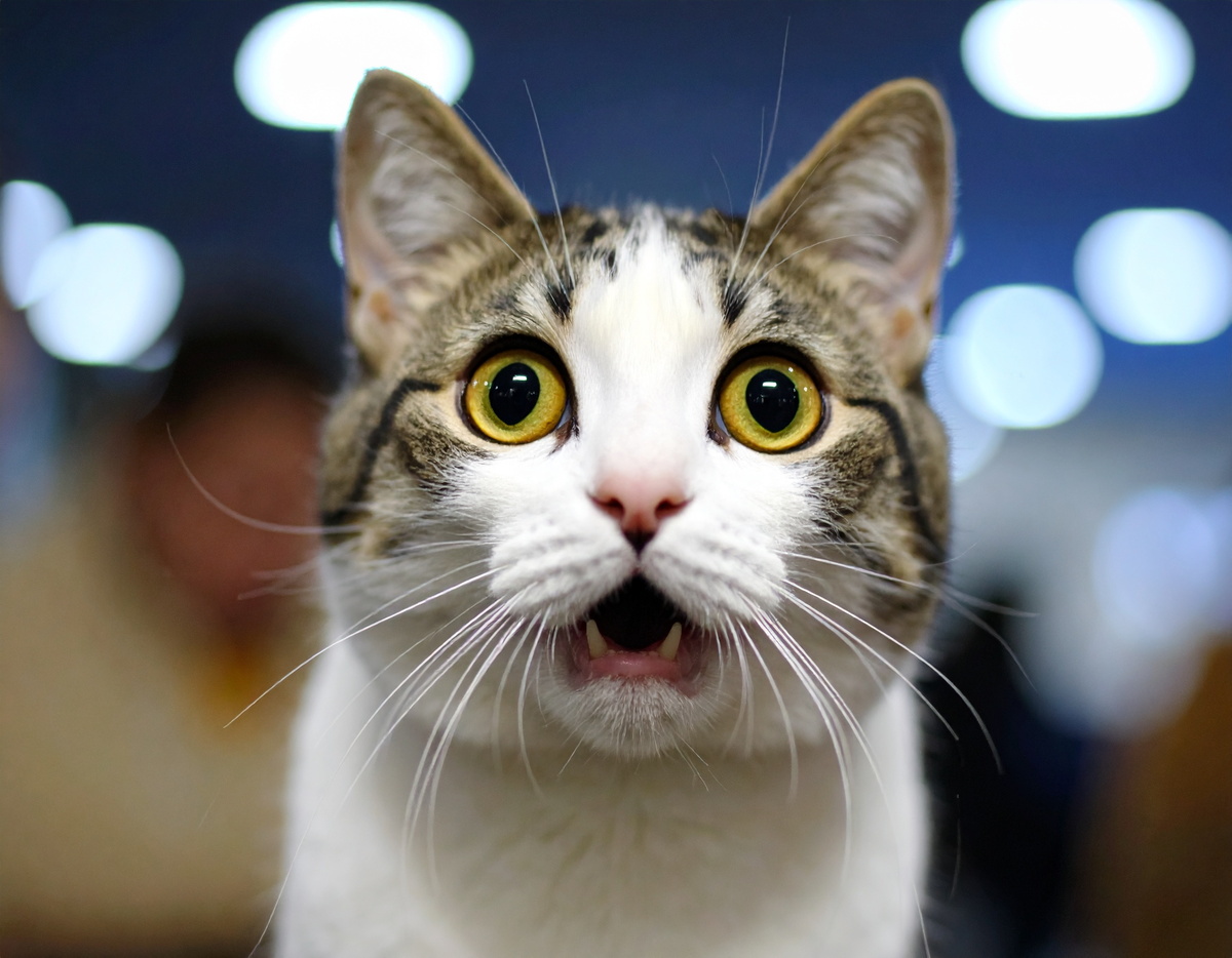 Как бы ни было страшно, преодолеть возможно всё