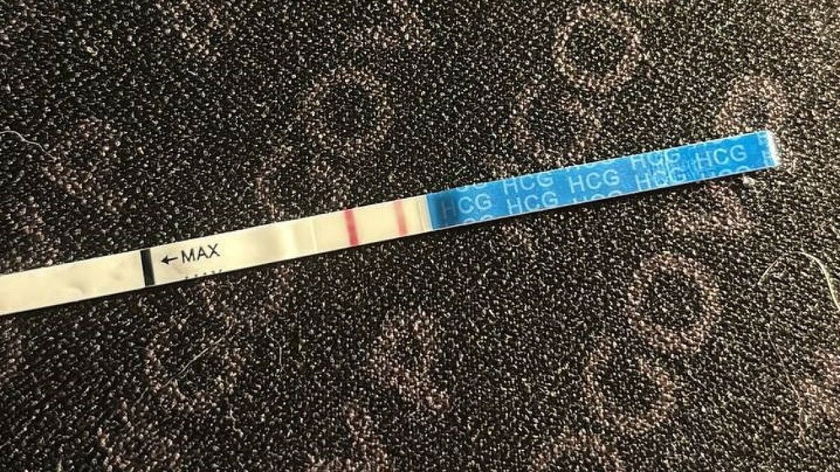    Фото: телеканал «Краснодар»