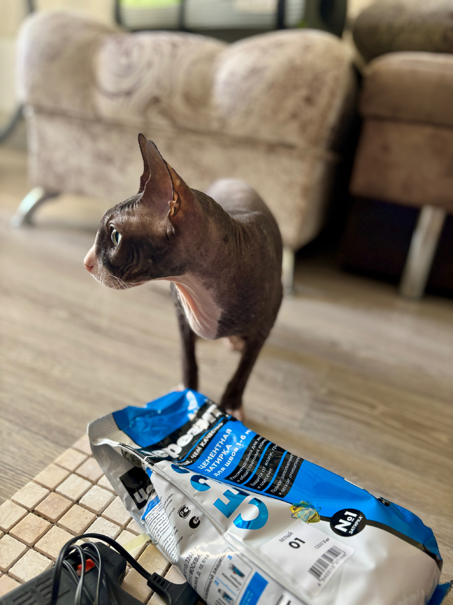 Ну как можно обойтись без него?