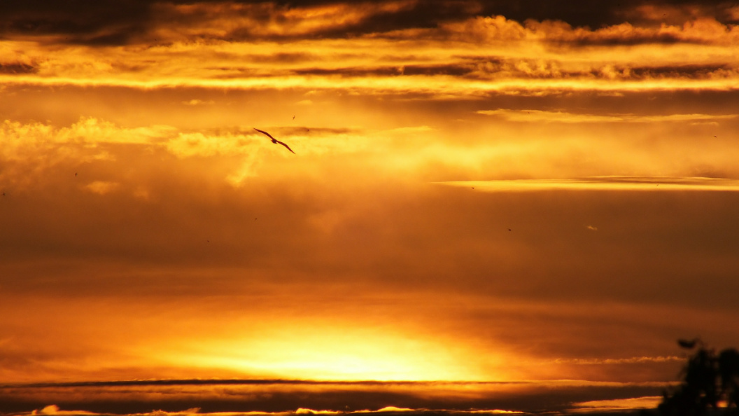    Фото: Victor Lisitsyn, Виктор Л/Globallookpress