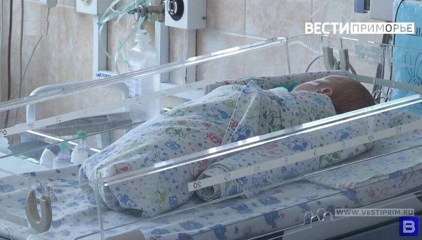    Источник фото: тематическое