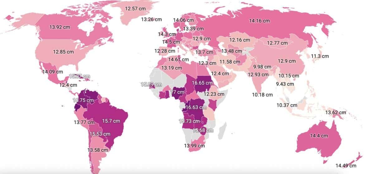    Средний размер пениса у мужчин в разных странах / © Data Pandas