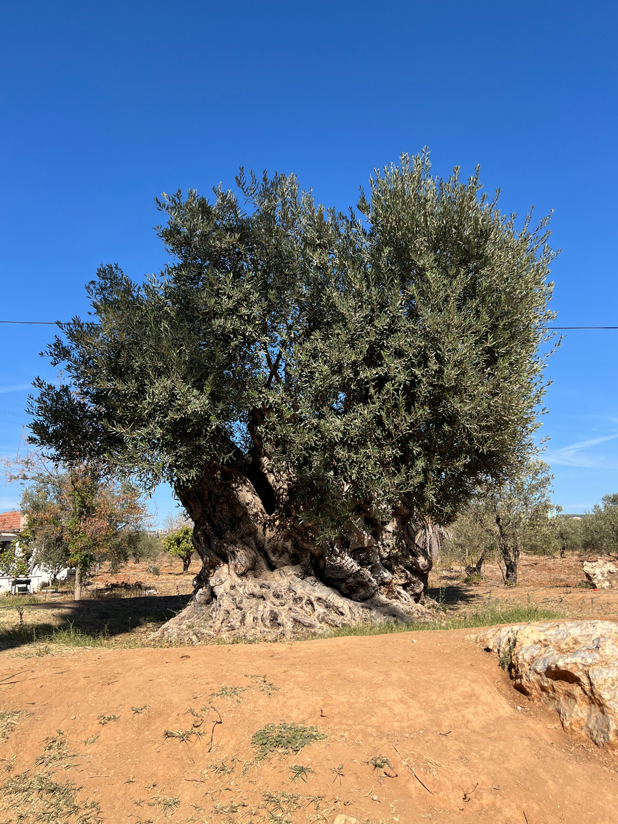 Анталья изнутри | Antalya Inside